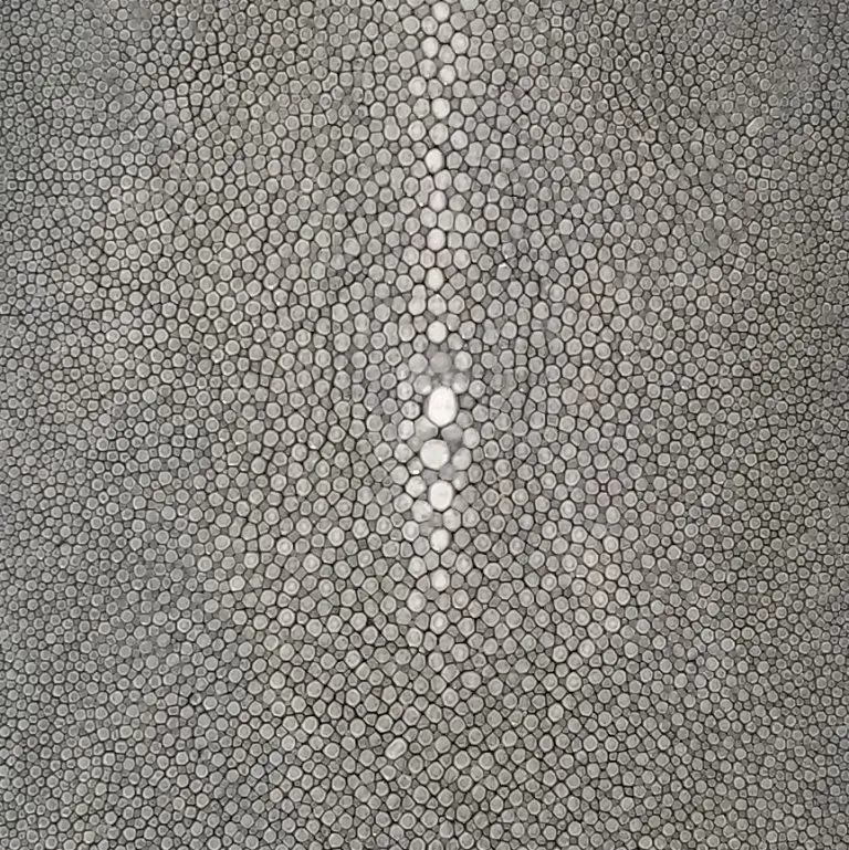 Shagreen Stingray - Gris