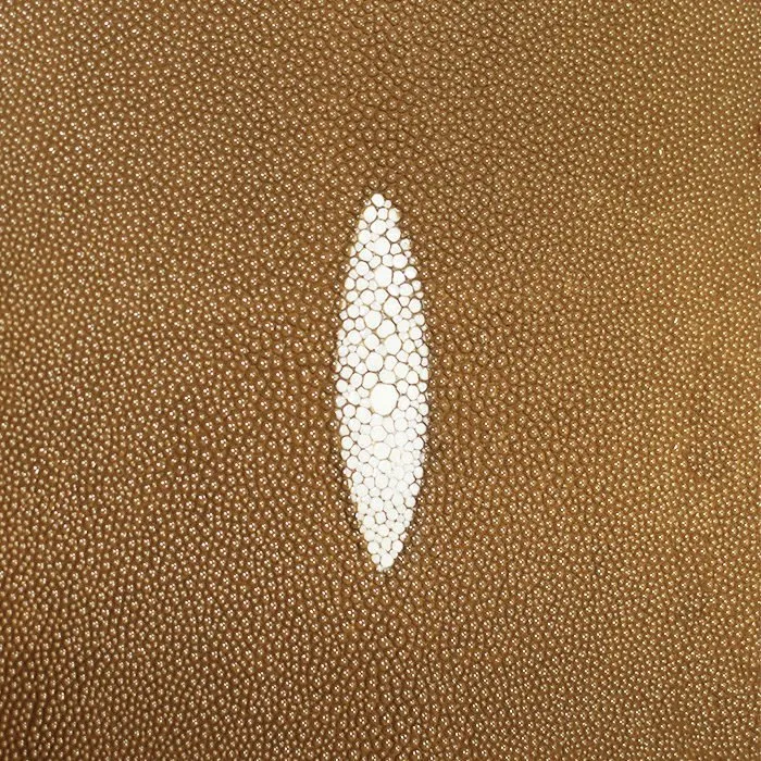 Shagreen Stingray - Champagne