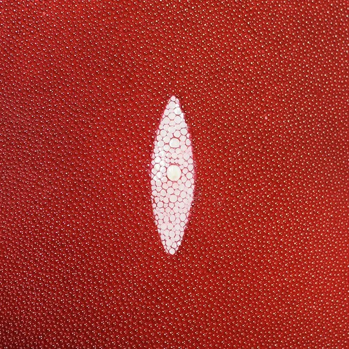 Shagreen Stingray - Ruby