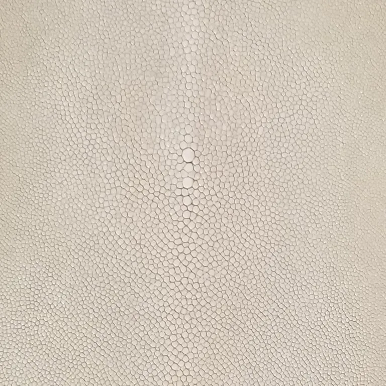 Shagreen Stingray - Lightest Grey